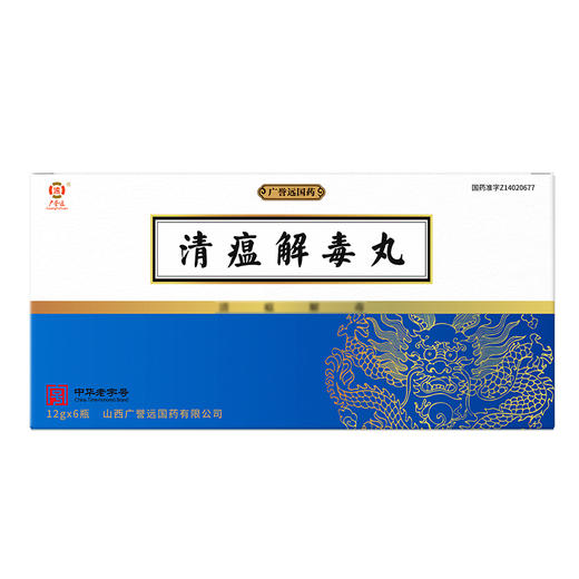 清瘟解毒丸12g*6瓶/盒 效期至24年10月20日 商品图3