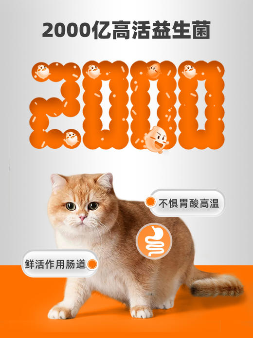 【49元任选3件】普安特狗狗猫咪益生菌宠物泰迪金毛幼犬猫咪调理肠胃腹泻呕吐拉稀专用 活性益生菌到手15条 商品图3