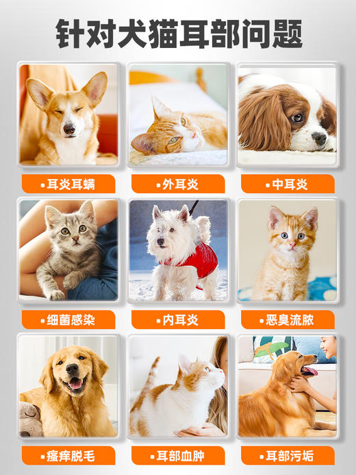 【买2送1】普安特滴耳液 猫咪狗狗耳滴耳液 耳朵清洁液消炎尔滴克 商品图3