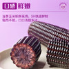 稻宝昌 东北鲜制黑糯玉米棒真空 8穗2000g 商品缩略图3