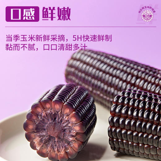 稻宝昌 东北鲜制黑糯玉米棒真空 8穗2000g 商品图3