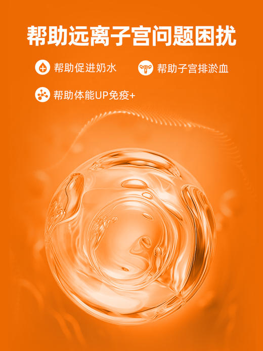 普安特母猫咪产后护理下奶宠物狗狗子宫蓄脓乳腺炎症宫保片 商品图4