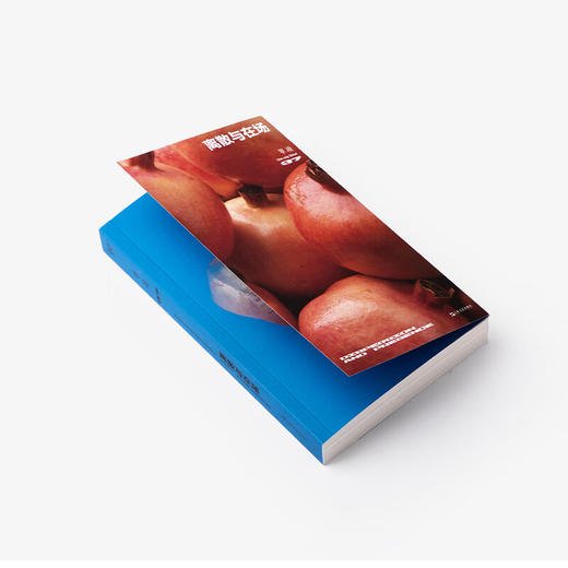 单读37·离散与在场（单读MOOK全新一辑，关注本土非虚构创作，发表“在场·非虚构写作奖学金”获奖作品） 商品图2