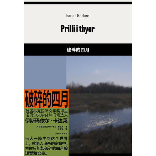 破碎的四月 吟游诗人传唱的东欧经典   暗黑版本的陀思妥耶夫斯基 商品图2