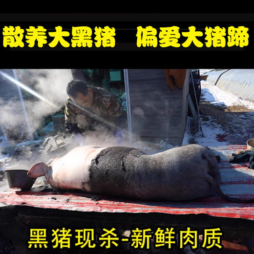 YP 百年霸峰爆香猪蹄280g/袋*8袋 商品图2