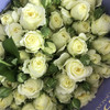 多头玫瑰.暖暖 商品缩略图1