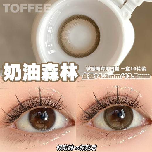 Toffee 日抛 燕麦黑咖/奶油森林/少女心事/清纯引力/童颜小鹿/半熟恋人 商品图3