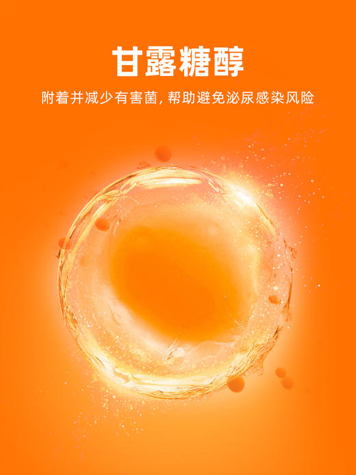 普安特狗泌尿路感染尿道膀胱炎宠物利尿通猫咪结石尿闭尿血健泌片 商品图3