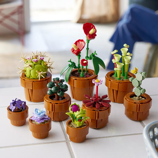 乐高积木  L10329创意高手 迷你盆栽 商品图4