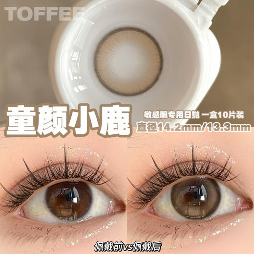 Toffee 日抛 燕麦黑咖/奶油森林/少女心事/清纯引力/童颜小鹿/半熟恋人 商品图7