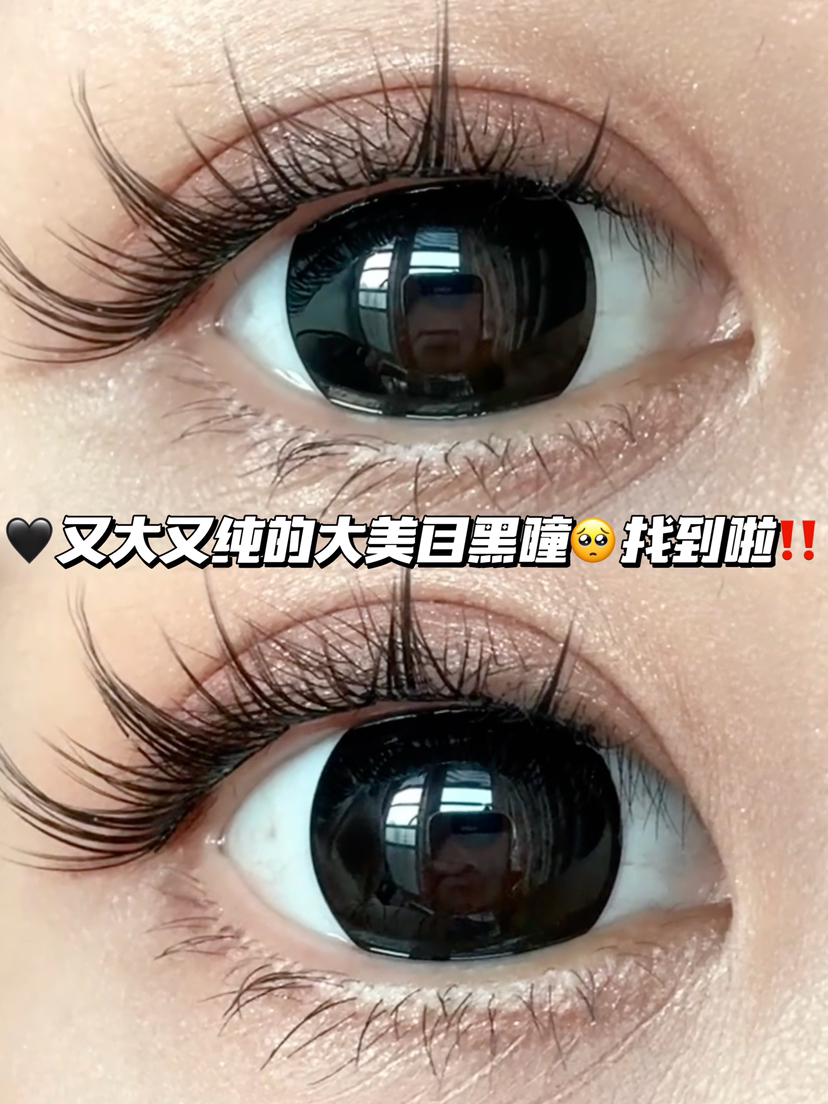 ebony 珍华乌木黑·半年抛