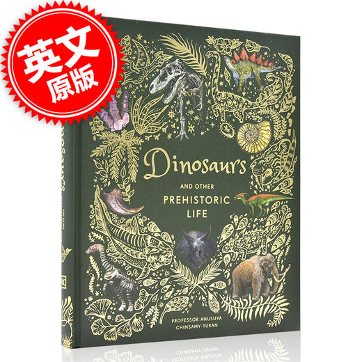 恐龙和其他史前生物 DK出版社 英文原版 Dinosaurs and other Prehistoric Life 古代物种化石科普指南 儿童英语百科全书 商品图0