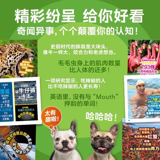 美国国家地理·世界真奇妙（第3辑）：全10册 商品图2