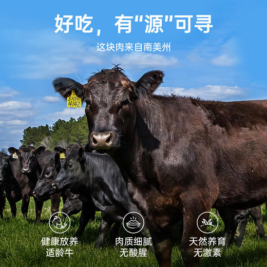 小牛凯西原切西冷/眼肉500g/袋 （3-5片）送黑椒酱20g*5 商品图2