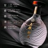 五粮印象水晶装 五粮液股份公司出品 浓香型白酒 高度纯粮食酒 52度 500mL 1瓶 商品缩略图1