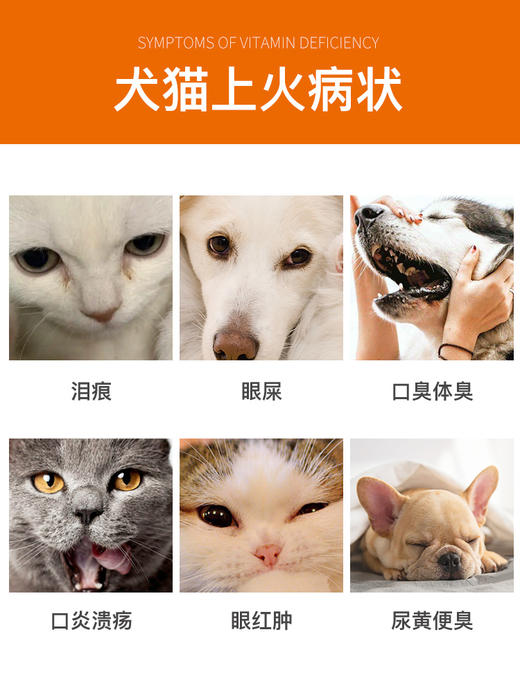 普安特犬猫清瘟败毒片卡瓦宁 商品图2