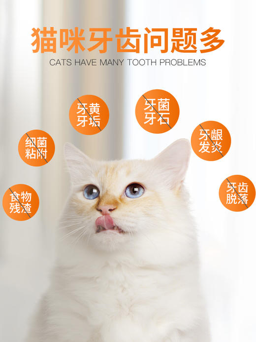 【26元任选2件】普安特猫咪零食宠物牙齿清洁帮助磨牙促消化口气牙黄牙垢洁齿粒 2包 商品图2