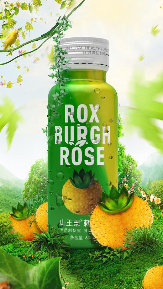 布苗乡刺梨汁50ml*10瓶/盒 商品图0