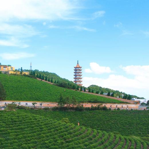 【两天】8.30-31相约浙江的‘圣托里尼’蓝白小镇，探寻蓬莱仙境-岱山岛，大海沙滩海鲜古镇（上海2日线） 商品图1