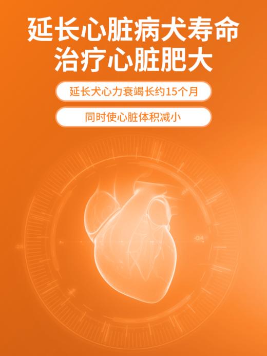 普安特温诺安宠物心脏药心力衰竭扩张心肌梗塞肥大匹莫苯丹狗5mgT 商品图2