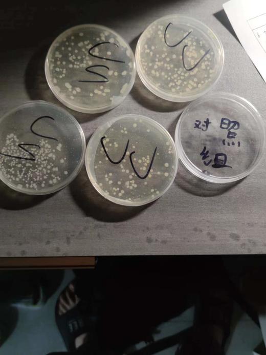 唐南中学八年级生命奇迹社团费用 商品图0