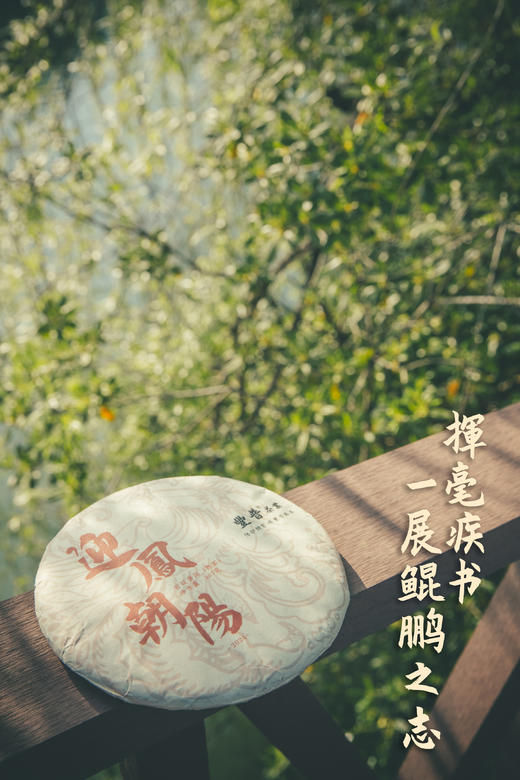 2024年迎凤朝阳 布朗熟茶 357g 商品图8