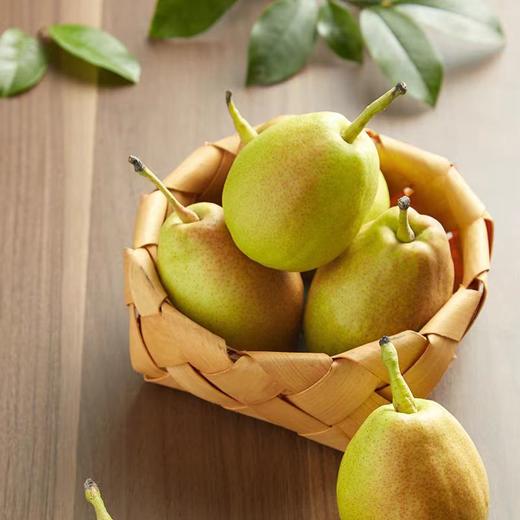 新疆库尔勒香梨3斤装 商品图1