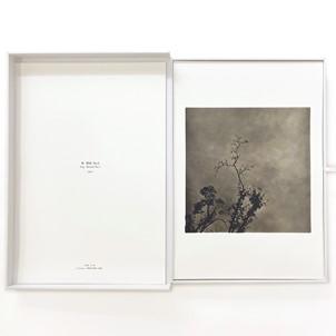 推荐书单｜《山 雾》画片集 商品图2