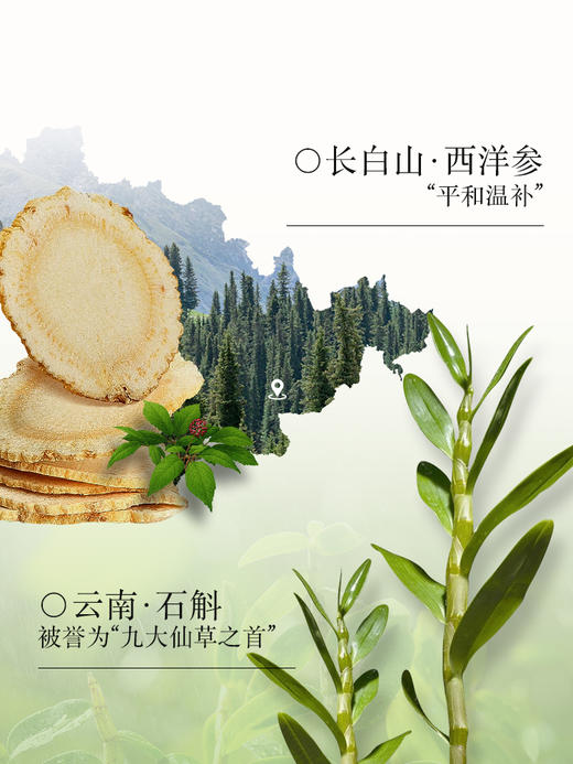 【桃红梨白】金参养元 熬夜茶2/3盒 商品图2