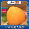 包邮 | 甘肃民勤人参果 人工优选 大果黄肉熟果 沙漠新鲜现摘 低糖 商品缩略图0