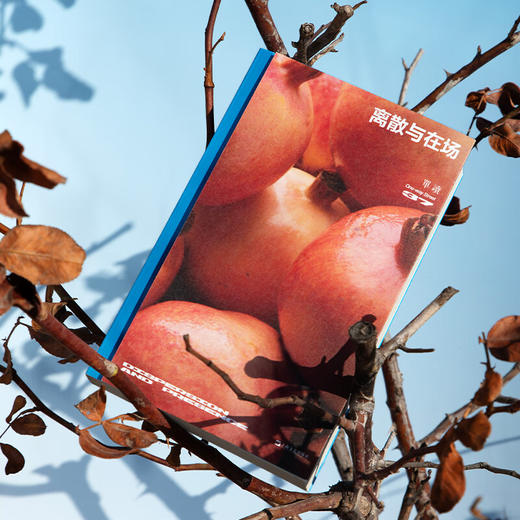 单读37·离散与在场（单读MOOK全新一辑，关注本土非虚构创作，发表“在场·非虚构写作奖学金”获奖作品） 商品图5