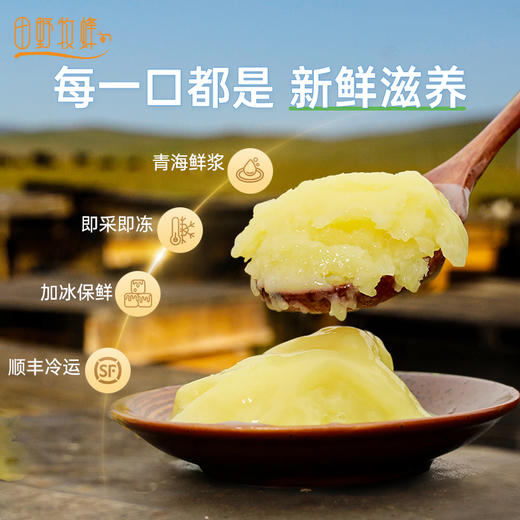 【2025新浆】田野牧蜂青藏高原头茬鲜蜂王浆新升级便携装蜂皇浆 商品图2