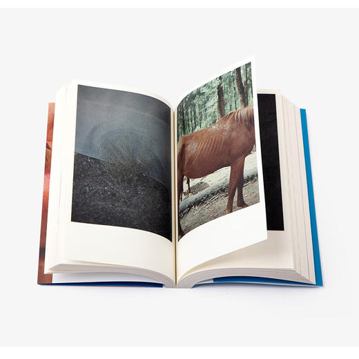 单读37·离散与在场（单读MOOK全新一辑，关注本土非虚构创作，发表“在场·非虚构写作奖学金”获奖作品） 商品图4