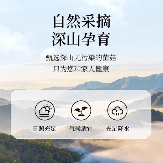 神农金康 羊肚菌七彩菌汤包80g 原生态真滋补 呵护家人健康 商品图4