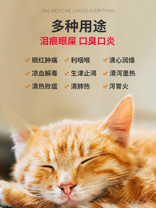 普安特犬猫清瘟败毒片卡瓦宁 商品图4