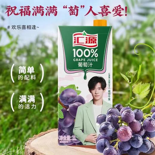 汇源葡萄汁1L 商品图0