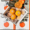 新鲜柑橘 云南虎柑一箱约4斤 礼盒装 商品缩略图1