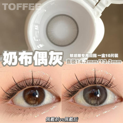 Toffee 日抛 燕麦黑咖/奶油森林/少女心事/清纯引力/童颜小鹿/半熟恋人 商品图8