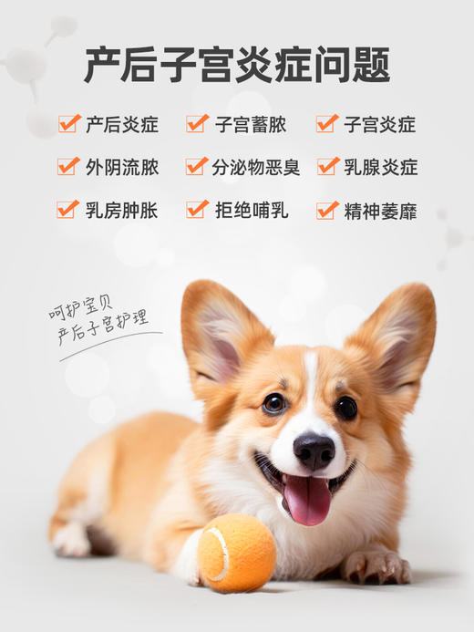 普安特母猫咪产后护理下奶宠物狗狗子宫蓄脓乳腺炎症宫保片 商品图1