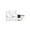 Cell Senescence β-Galactosidase Staining Kit 商品缩略图0