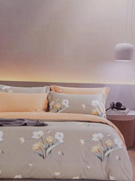 圣夫岛棉四件套200x230cm 商品图0