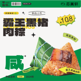 1.1抢10元粽仔劵