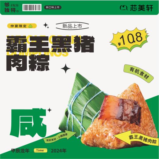 1.1抢10元粽仔劵 商品图0