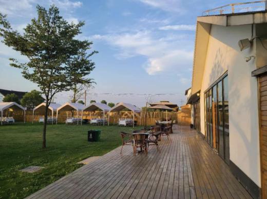 松江区超大户外草坪场地 商品图2