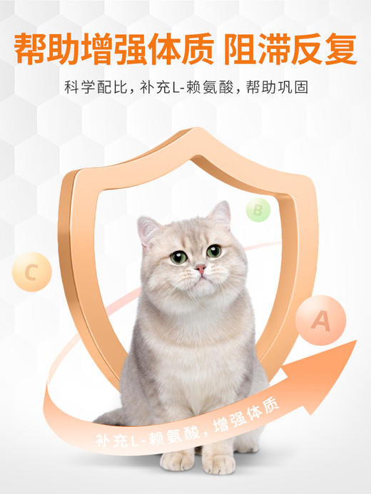 【60元任选2件】普安特赖氨酸预防猫鼻支猫咪感冒打喷嚏流泪（含量和口味有所调整） 商品图1