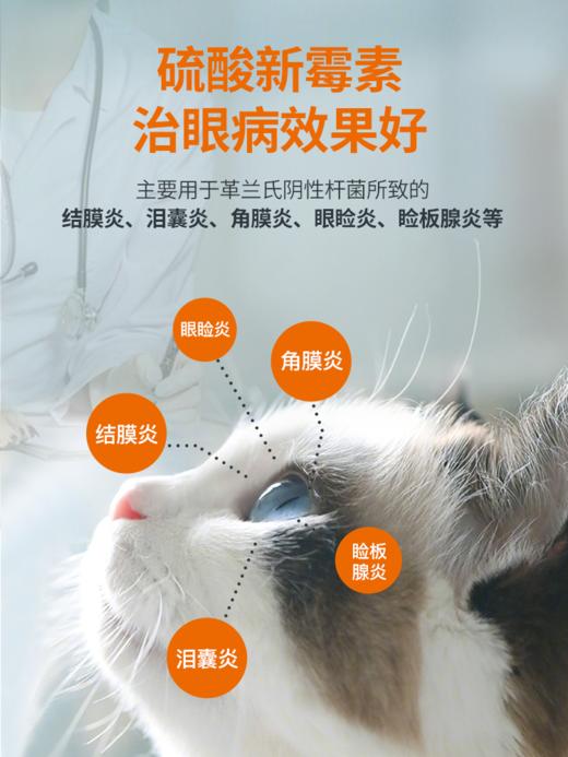 猫鼻支感冒流鼻涕  贝朗明滴眼液+赖氨酸+克诺佳zx 商品图3