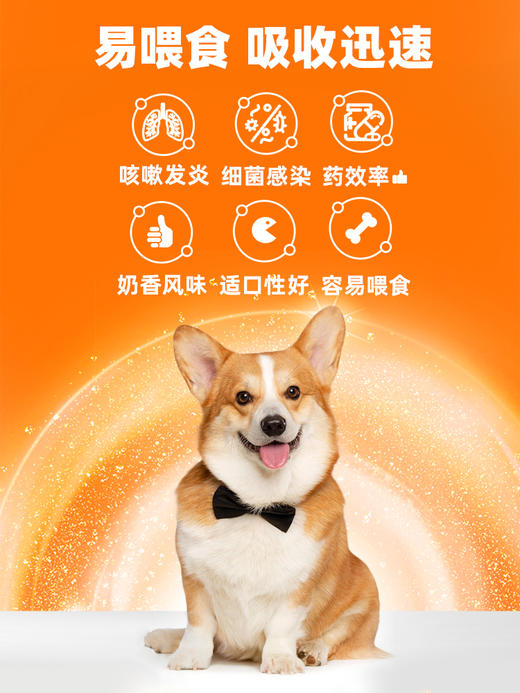 普安特弗诺多狗狗感冒药咳嗽流鼻涕猫鼻支犬窝咳打喷嚏消炎药盐酸多西环素（犬用）zx 商品图2