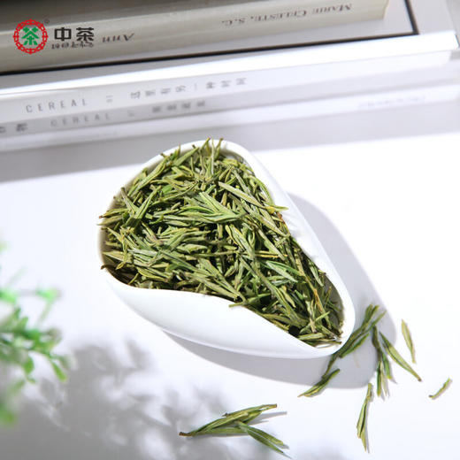 2024中茶茗悦安吉白茶120g 商品图1