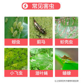 春夏时节，防虫指南