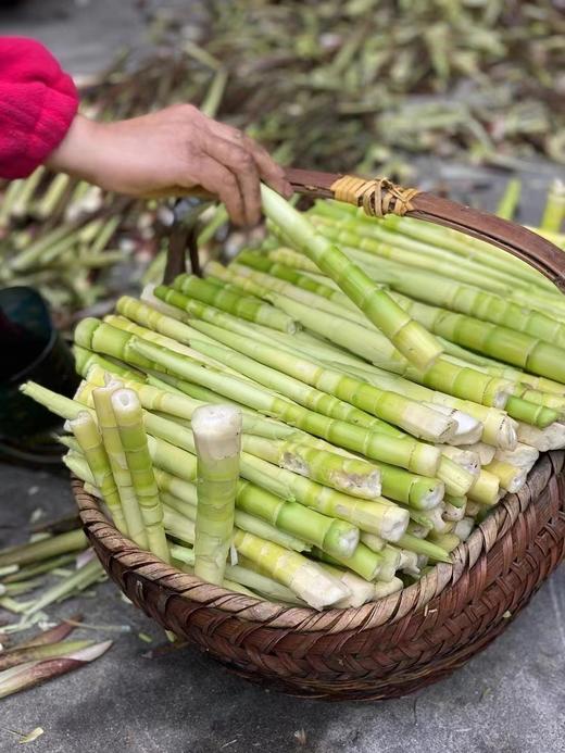 临安本土品牌“山妹子”天目石笋干 今年新笋 浓郁笋香 韧性很足 商品图4
